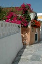 Greek island street scene Royalty Free Stock Photo