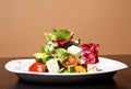 Greek or Italian Salad Royalty Free Stock Photo