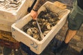 Greek Kapani Market in Thessaloniki. Unrecognizable tattooed caucasian fisherman showing white container full of freshly Royalty Free Stock Photo