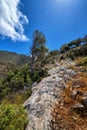 Greek landscape, hills, bushes, rocky slopes, wind-swept olive trees. Blue sky, beautiful clouds. Akrotiri peninsula Royalty Free Stock Photo