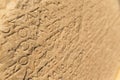 Greek language concept. Closeup shot of Greek alphabet words carved into a beige stone wall.