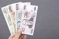Greek money in the hand on a gray background Royalty Free Stock Photo