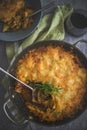 Greek moussaka with potatto and eggplant Royalty Free Stock Photo