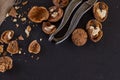Greek nuts whole and split, the Nutcracker Royalty Free Stock Photo