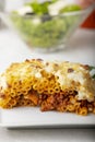 Greek pastitsio with salad Royalty Free Stock Photo