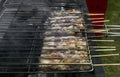 Greek pork souvlaki on grill