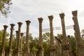 Greek revival pillars of Windsor Ruins, Mississippi Royalty Free Stock Photo