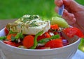 Greek salad Royalty Free Stock Photo