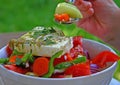 Greek salad Royalty Free Stock Photo