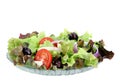 Greek Salad with Feta Cheese Royalty Free Stock Photo