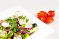 Greek salad with fresh tomato, cucumber, red onion, basil, feta cheese, black olives, Italian herbs and olive oil in white dish on Royalty Free Stock Photo