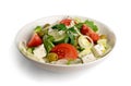 Greek Salad, Horiatiki or Village Salad with Feta Cheese Royalty Free Stock Photo