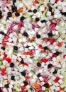 Greek salad of luscious tomatoes, with feta cheese, black olives, cucumber, red onion and rosemary. Royalty Free Stock Photo