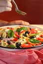 Greek Salad Royalty Free Stock Photo