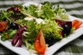 Greek salad tomatoes cheese greens Royalty Free Stock Photo