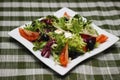 Greek salad Royalty Free Stock Photo