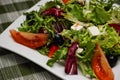Greek salad Royalty Free Stock Photo