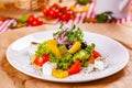 Greek salad with vegetables and feta cheese on white plate Royalty Free Stock Photo