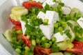 Greek Salad in White Bowl, Macro Photo of Fresh Garden Salat, Salad with Green Onion, Feta, Tomatoes Closeup Royalty Free Stock Photo