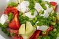 Greek Salad in White Bowl, Macro Photo of Fresh Garden Salat, Salad with Green Onion, Feta, Tomatoes Closeup Royalty Free Stock Photo