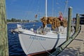 Greek sponge fishing boat Anastasi docked in Tarpon Springs, Florida with a fresh catch of sponges