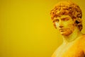 Greek statue of young man Royalty Free Stock Photo