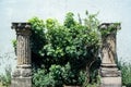 greek stone column, surrounding plants, gilded style, wall in the background, mexico