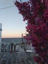 Greek sunset in Paros