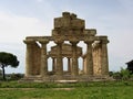 Greek temple of Athena to spring in the archaeological park of Paestum in Italy.