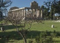 Greek Temple of Ceres, Paestum, Cilento Italy Royalty Free Stock Photo