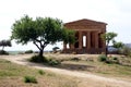 Greek temple & olive tree Royalty Free Stock Photo