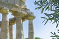 Greek temple and olive tree leafs Royalty Free Stock Photo
