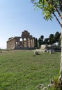 Greek temple paestum Royalty Free Stock Photo