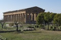 Greek temple paestum Royalty Free Stock Photo