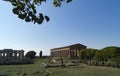 Greek temple paestum Royalty Free Stock Photo