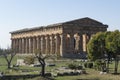 Greek temple paestum Royalty Free Stock Photo