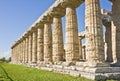 Greek Temple, Paestum Italy Royalty Free Stock Photo