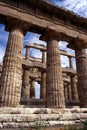 Greek temple at Paestum, Italy Royalty Free Stock Photo