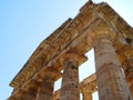 Greek Temple of Paestum