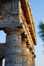 The greek temple of Segesta in Sicily Royalty Free Stock Photo