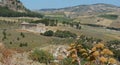 Temple of Segesta Royalty Free Stock Photo