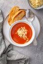 Greek tomato soup with orzo pasta Royalty Free Stock Photo