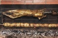 Greek traditional grill food kokoretsi