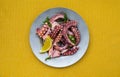 Greek traditional, sea food - Octopus with olive oile and lemon juice. Octopus Ceviche Royalty Free Stock Photo