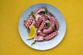 Greek traditional, sea food - Octopus with olive oile and lemon juice. Octopus Ceviche Royalty Free Stock Photo