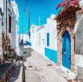 Greek village Koskinou with typical white houses and blue doors, shutters on windows and blooming Bougainvillea flower at Rhodes