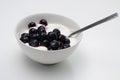 Greek yoghurt with blueberries Royalty Free Stock Photo