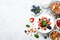 Greek yogurt granola and berry mix. Top view. Royalty Free Stock Photo