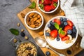 Greek yogurt granola with fresh berries . Royalty Free Stock Photo