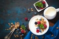 Greek yogurt with granola and fresh berries. Royalty Free Stock Photo
